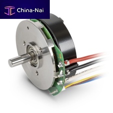 DC motor ECX FLAT 42 Sbrushless24 Vflat