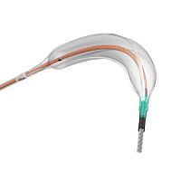 PTA catheter NSE scoringperipheralballoon