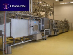 Automatic food washing tunnel rinsing