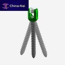 Lumbar vertebra pedicle screw polyaxialmetallic