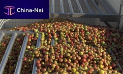 Sorting fruit juice production line storage
