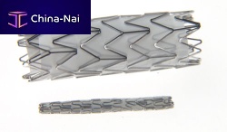 Coronary arteries stent graft Prograft