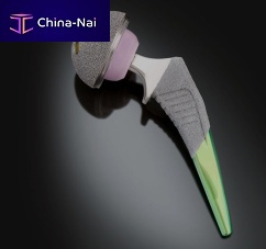 Minimally invasive hip prosthesis Spartan cementless