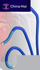 Guiding catheter Tracer cardiac6 FR7 FR
