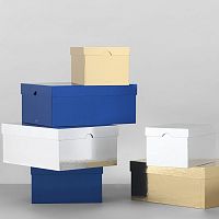 Cardboard storage box