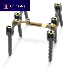Thoraco-lumbar osteosynthesis unit Quantum®posterioradult