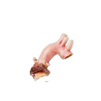 Aortic valve bioprosthesis CardioGraft®