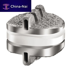 Cervical disc prosthesis SECURE-C®