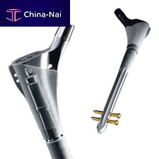 Revision femoral stem Prevision®cementless
