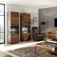 Contemporary display case AUNISglasssolid woodilluminated