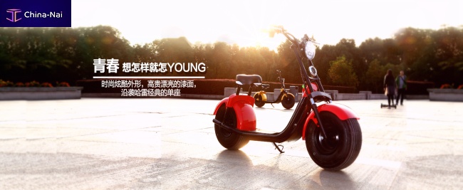											 "CityCoco Harley"