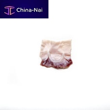 Pulmonary artery vascular bioprosthesis CardioGraft® Monoallograftwith valve