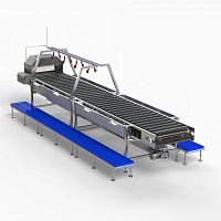 Fish heading machine