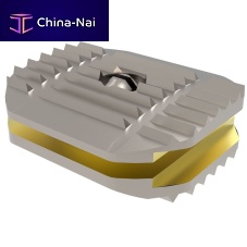 Cervical disc prosthesis D-Pro