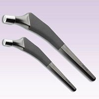 Cementless femoral stem Bencox ID