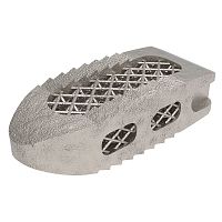 Thoraco-lumbar interbody fusion cage Tra-Tiposteriortitanium