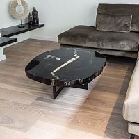 Contemporary coffee table petrified woodmetal basehome