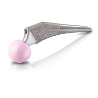 Cementless femoral stem UTF