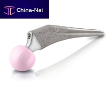 Cementless femoral stem UTF