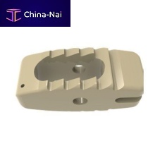 Lumbar interbody fusion cage neptuneposterior