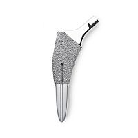 Cementless femoral stem OVATION®