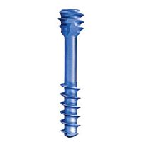 Small bone fragment compression bone screw headless