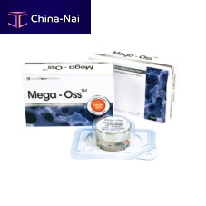 Allograft bone substitute Mega - Ossfor orthopedic surgeryrigid