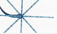 Mapping catheter OCTARAYelectrophysiologic monitoringcardiac