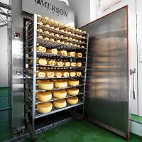 Cheese smoking chamber coldfor maturation