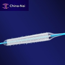 PTCA catheter SUPPORT Ccoronaryballoondrug eluting