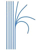 Electrophysiologic monitoring catheter ViaCath®cardiacsteerable tipPES