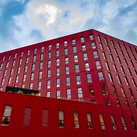 Panel cladding MIRATEX®sheetaluminum alloypre-coated aluminum