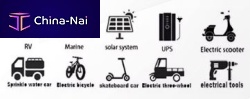   "Dongguan Liushi Lithium Technology Co"
