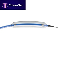 Guiding catheter ISTARPTCAcoronaryballoon