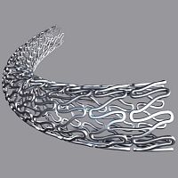 Coronary stent eucaLimuscobalt-chromiumPLGAdrug eluting