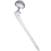 Revision hip prosthesis TTHR EASY®cementless