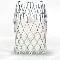 Aortic valve bioprosthesis ALLEGRA TAVIbovine tissuesutureless