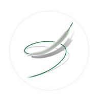 PTA catheter Reewarmsub-popliteal arteryballoondrug eluting
