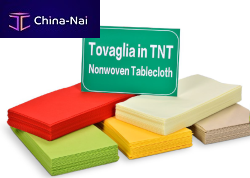 , ,  Foshan Rayson Non Woven Co.,LTD