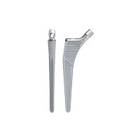 Cementless femoral stem