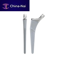 Cementless femoral stem