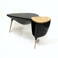 Original design desk TRIPODEoakfiberglass