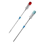 Vascular access sheath Intro