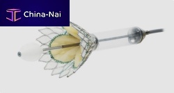 Mitral valve bioprosthesis Cardiovalvesutureless