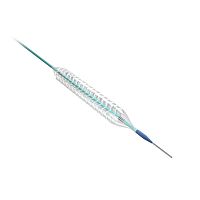 Coronary stent NeoVasSirolimus-eluting stainless steelbioresorbabledrug eluting