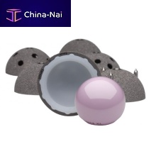Cementless acetabular prosthesis X-ALT