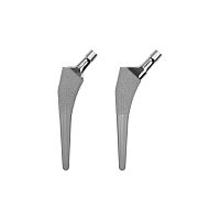 Cementless femoral stem Provident®