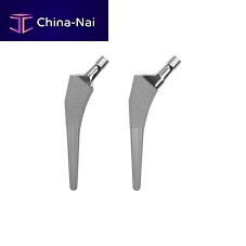 Cementless femoral stem Provident®