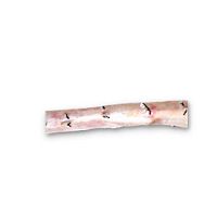Descending thoracic aorta vascular bioprosthesis CardioGraft®allograft