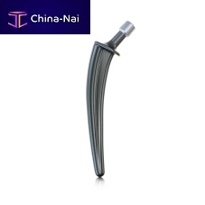 Cemented femoral stem AEON